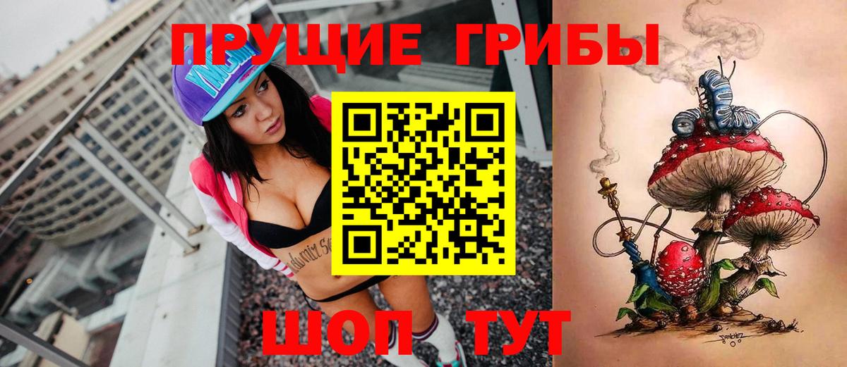 Псилоцибиновые грибы Psilocybine cubensis  Вход с VPN  Галлюциногенные грибы прущие грибы  Екатеринбург 